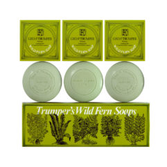wild-fern-hand-soap