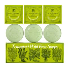 wild-fern-hand-soaps