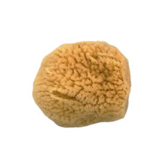 Face Sponge