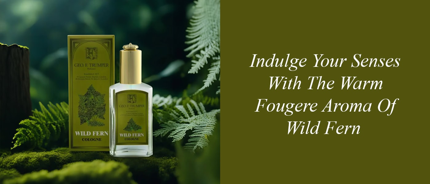 wild-fern-2025-home